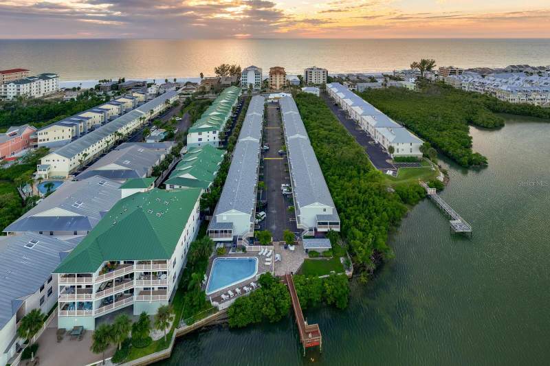 Sea Shell Of Indian Shores