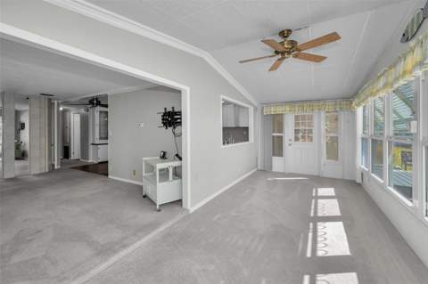 4706 Burney Drive, Holiday FL - photo 21 of 63