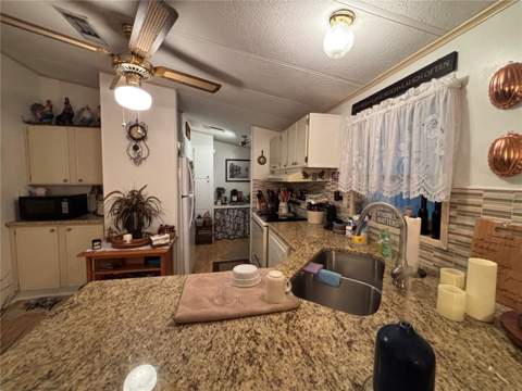 3833 Olax Court, Zellwood FL - photo 11 of 30
