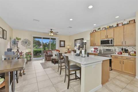 8718 Turnstone Haven Place, Tampa FL - photo 6 of 38