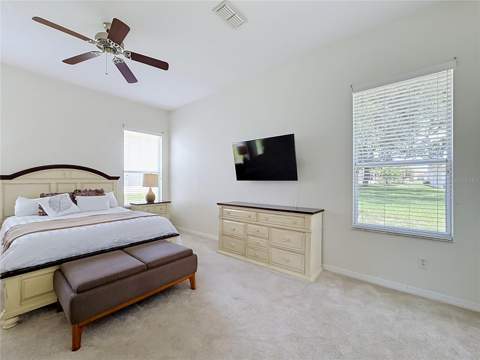 25206 Ormond Court, Leesburg FL - photo 18 of 46