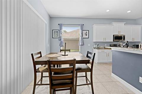 4501 Birchfield Loop, Spring Hill FL - photo 11 of 51