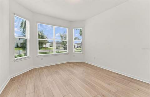 10037 Trellis Vine Way, Parrish FL - photo 14 of 20