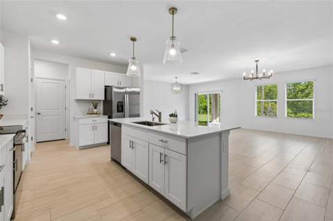 10065 Gentle Rain Drive, Land O Lakes FL - photo 8 of 52