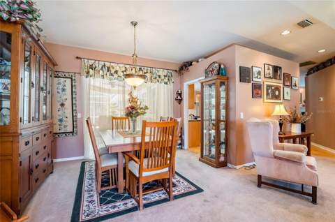 22754 Magnolia Trace Boulevard, Lutz FL - photo 8 of 56