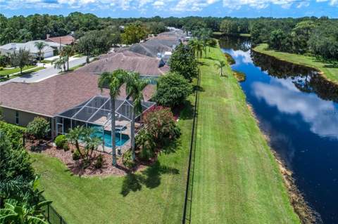 10116 Bennington Drive, Tampa FL - photo 7 of 75