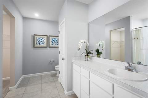 8860 Wildflower Field Lane, Wildwood FL - photo 14 of 17