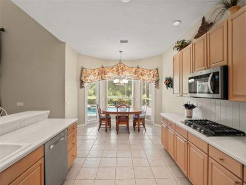 17422 Heather Oaks Place, Tampa FL - photo 19 of 78
