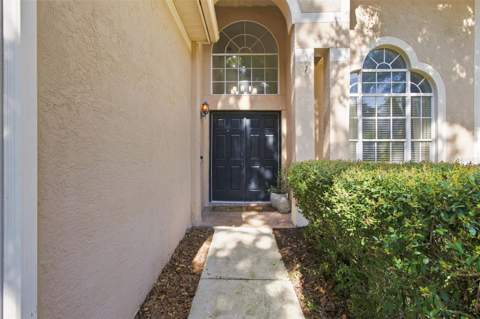 17708 Long Ridge Road, Tampa FL - photo 9 of 99