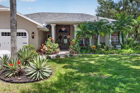 8735 Crescent Forest Boulevard, New Port Richey FL - photo 7 of 61