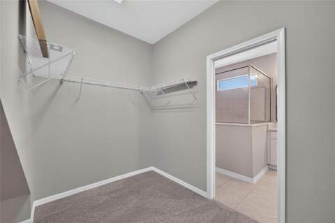 21744 Waverly Shores Lane, Land O Lakes FL - photo 22 of 59