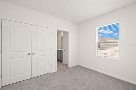 1393 Colt Creek Place, Wesley Chapel FL - photo 17 of 24