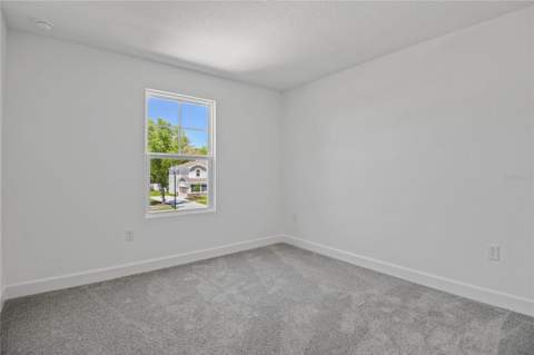 3716 Deer Ridge Drive, Mount Dora FL - photo 21 of 23