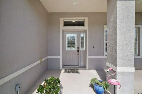 3544 Mount Hope Loop, Leesburg FL - photo 7 of 65