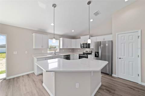 349 Malauka Loop, Ocklawaha FL - photo 6 of 6
