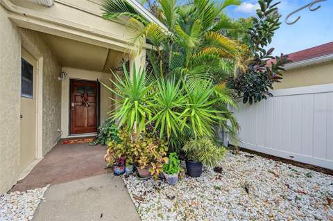 2771 Summerdale Drive #7, Clearwater FL - photo 6 of 6