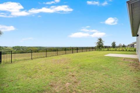 2378 Gold Dust Drive, Minneola FL - photo 22 of 37