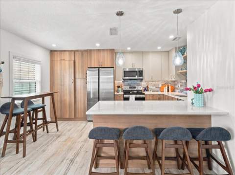 5153 Salmon Drive #B, St Petersburg FL - photo 8 of 50