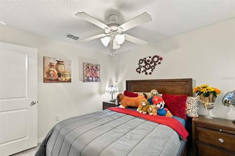 588 Olive Conch Street, Ruskin FL - photo 21 of 31