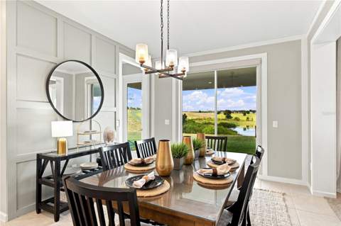 3168 Canna Lily Place, Clermont FL - photo 9 of 53