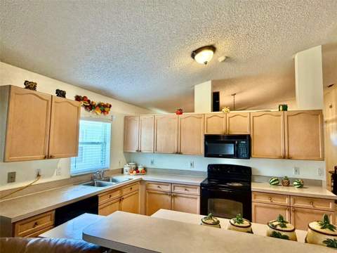 2319 Lily Pad Lane, Kissimmee FL - photo 16 of 36