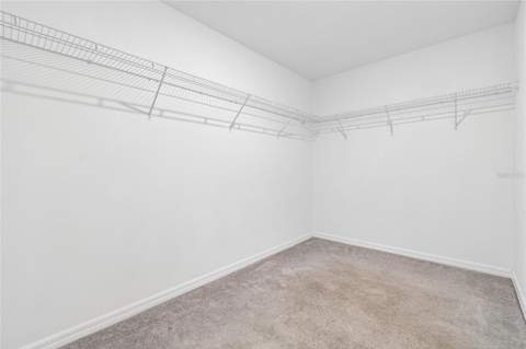 3706 Cat Mint Street, Tampa FL - photo 10 of 25