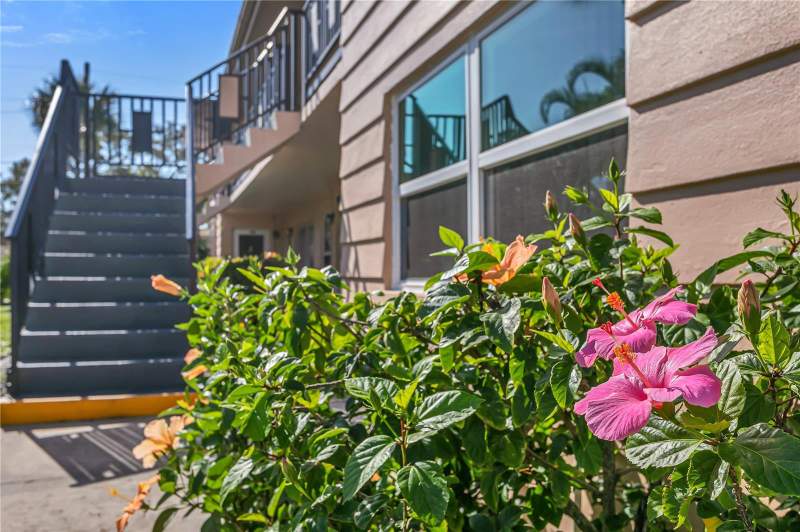 216 36TH AVENUE #202B home for sale in North East Garden Apartments Homes for Sale: 1 Listing, From $225K