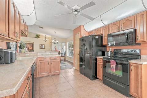 8218 Spanish Oak Drive, Spring Hill FL - photo 19 of 50