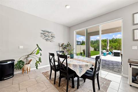 8673 Bower Bass Circle, Wesley Chapel FL - photo 11 of 43
