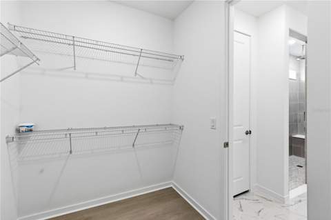13824 Sunlight Meadow Drive, Riverview FL - photo 22 of 53