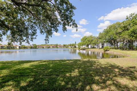 207 Cypress Lane, Oldsmar FL - photo 20 of 25