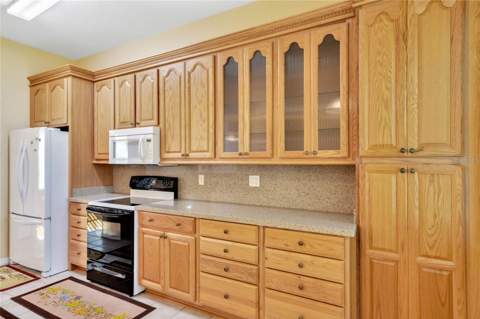 503 Anise Court, Kissimmee FL - photo 6 of 26