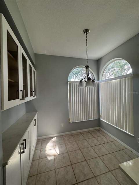 5754 Parkview Lake Drive, Orlando FL - photo 11 of 48