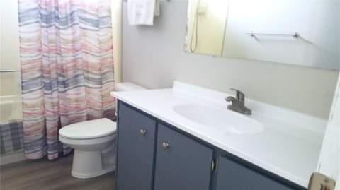 37537 Pinata Avenue, Zephyrhills FL - photo 18 of 33