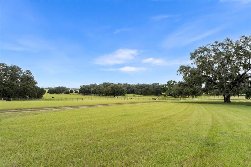 3 bedroom Single Family Residence at 23220 NW 27th St, Gold Medal Farms, Morriston — photo 5