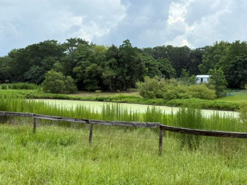 3 bedroom Single Family Residence at 5890 SE 145th Street, Quail Lake, Summerfield — photo 5