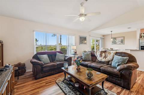 1059 S Pointe Alexis Dr, Tarpon Springs FL - photo 17 of 80