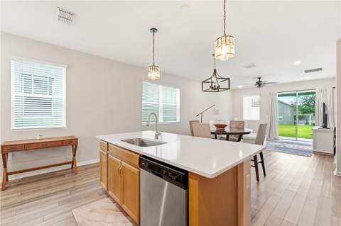 2673 Spider Lily Court, Clermont FL - photo 11 of 48
