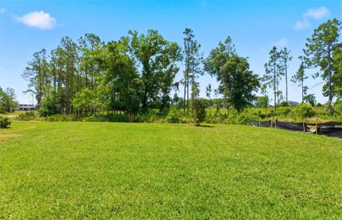 1662 Shields Point, Zephyrhills FL - photo 21 of 29