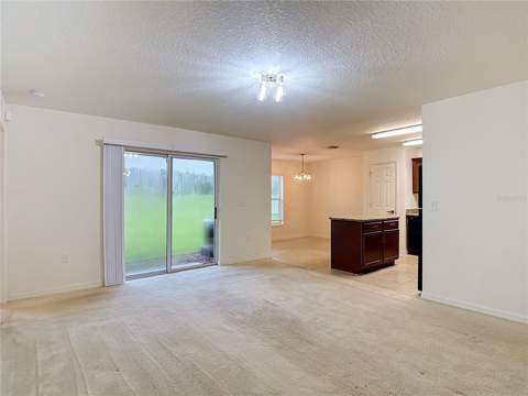 30541 Satinleaf Run, Brooksville FL - photo 6 of 6