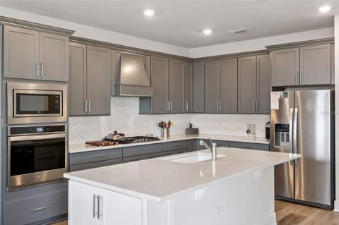 4008 Meandering Bay Drive, Apopka FL - photo 8 of 43