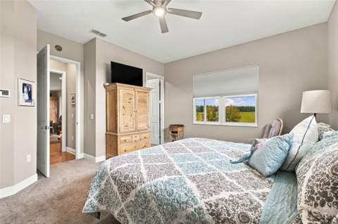 16705 Hilltop Horizons Place, Dade City FL - photo 22 of 53