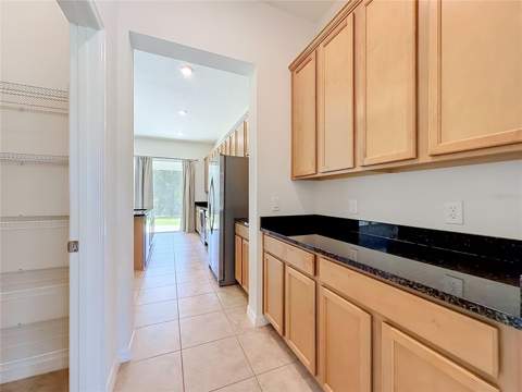 10079 Austrina Oak Loop, Winter Garden FL - photo 13 of 47