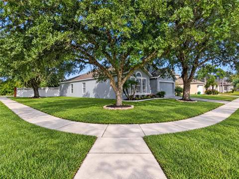 3156 Mattson Drive, Orlando FL - photo 6 of 6