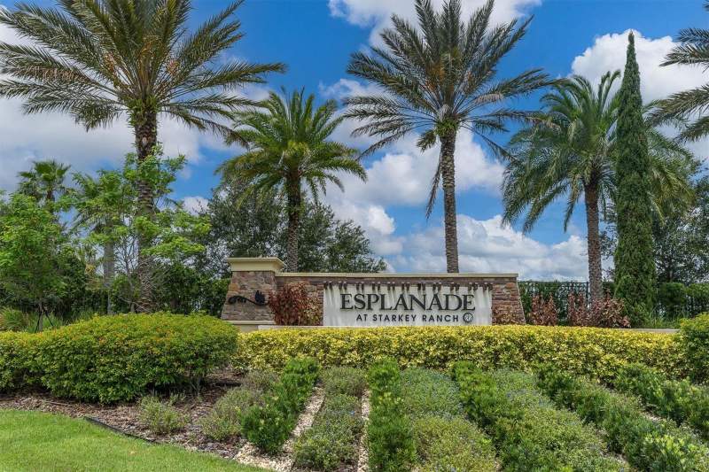 3 bedroom Single Family Residence at 3142 Francoa Drive, Esplanade/Starkey Ranch Ph 3, Odessa — photo 3