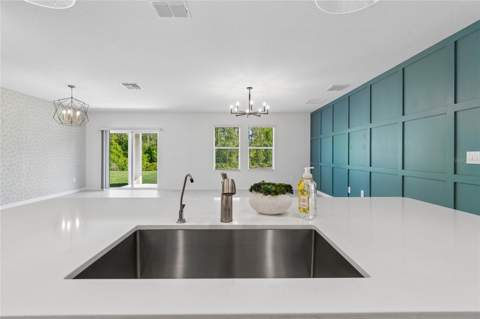 10065 Gentle Rain Drive, Land O Lakes FL - photo 7 of 52