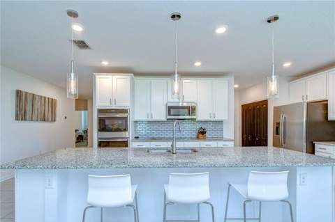 8325 Olive Brook Drive, Wesley Chapel FL - photo 12 of 39