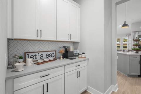 3832 Saddle Hill Trail, Fruitland Park FL - photo 8 of 35