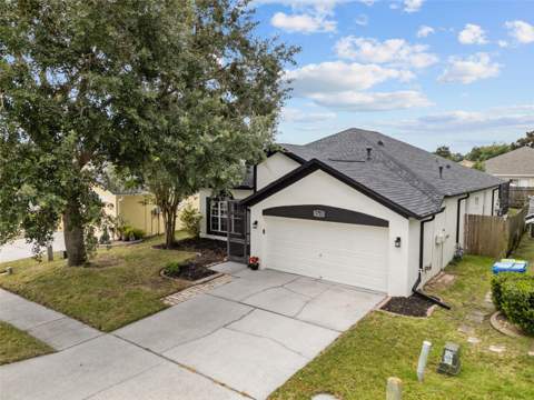 22633 Marsh Wren Drive, Land O Lakes FL - photo 10 of 43