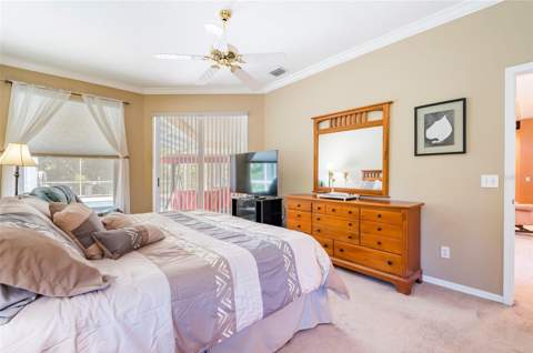 22754 Magnolia Trace Boulevard, Lutz FL - photo 12 of 56